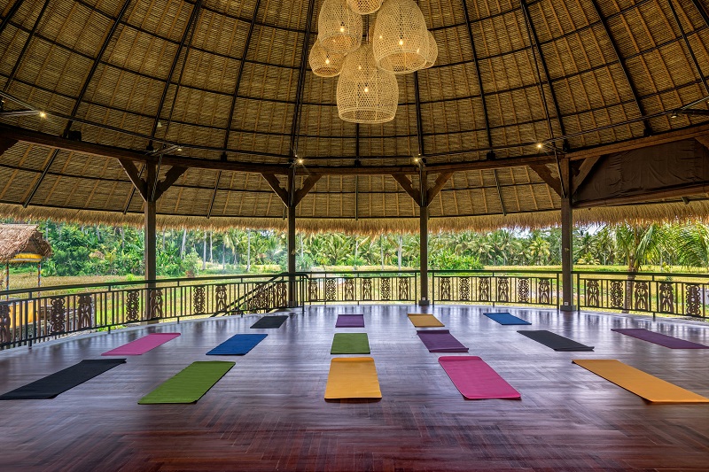 yogashala1